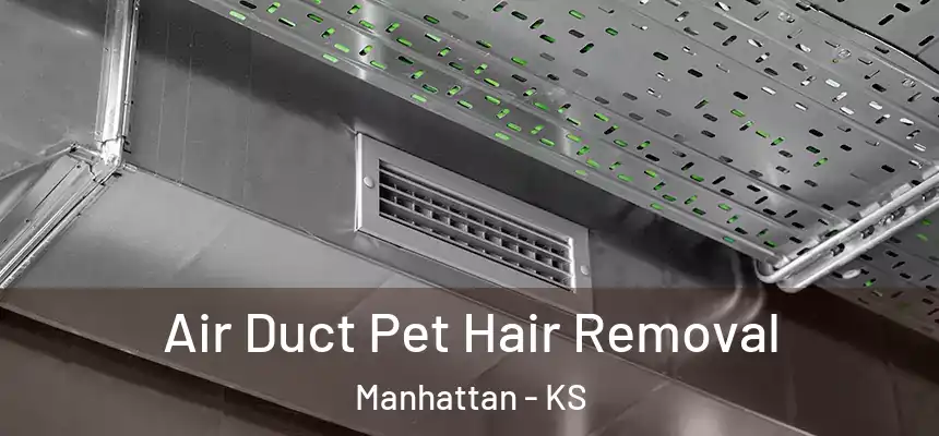  Air Duct Pet Hair Removal Manhattan - KS