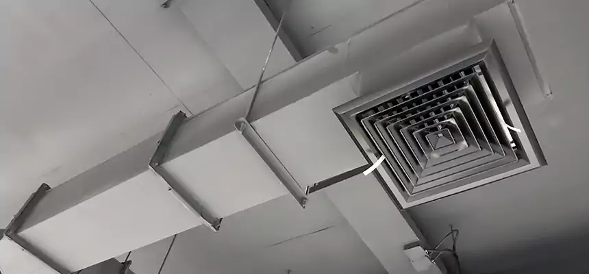 Our Rodent Droppings In Vents Services in Manhattan, KS