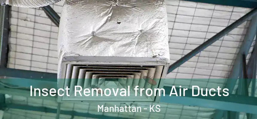 Insect Removal from Air Ducts Manhattan - KS