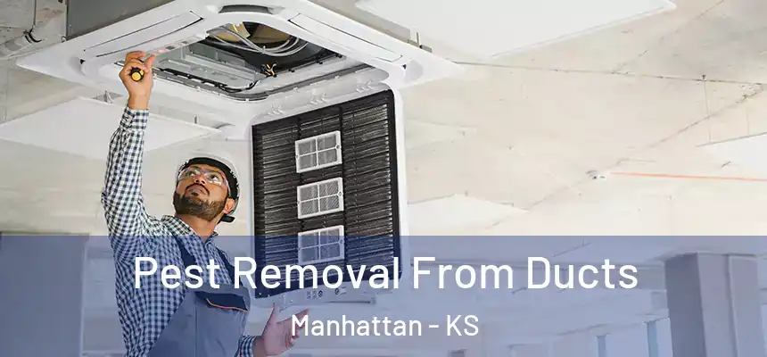  Pest Removal From Ducts Manhattan - KS